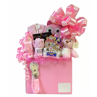 Baby girl gift basket with everything to welcome a new, sweet baby into the world!
